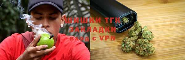 дмт Надым