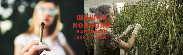 мяу мяу мука Михайлов